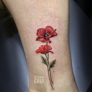 Weiblich  Mikrorealismus tattoo auf Schienbein #103275 | Tattoo Artist Stefania Gala