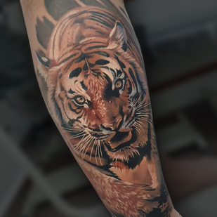 tattoo #97789 | Tattoo Artist Aleksandr Sigal Romashev