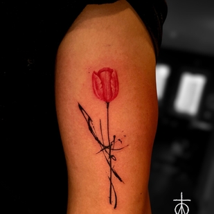 Illustrativ tattoo #98108 | Tattoo Artist Claudia Fedorovici