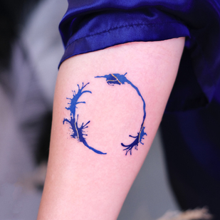 tattoo #92542 | Tattoo Artist Tatuaggi di Porcellana