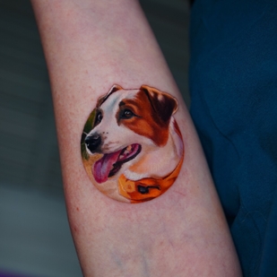 Weiblich Farbe Mikrorealismus tattoo auf Unterarm #102710 | Tattoo Artist Anastasiya Yusupova CAT_KABUKI