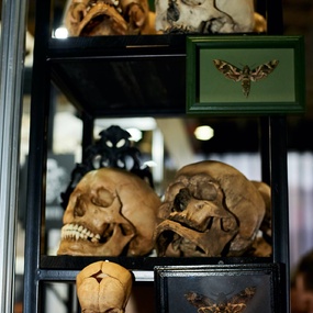 10th International Moscow Tattoo Convention | Day 1