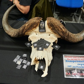 18th Moscow Tattoo Festival | Day 1