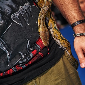 18th Moscow Tattoo Festival | Day 2