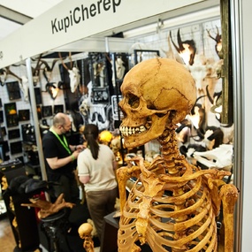 11th International Moscow Tattoo Convention | Day 1