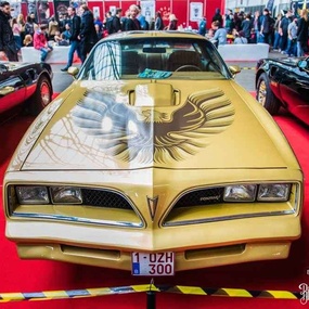 International Brussels Tattoo Convention 2017 | Day 2