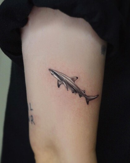 Tattoo Idea #47144 Tattoo Artist shooin