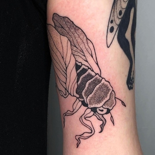 tattoo #47732 | Tattoo Artist Zox Volkov