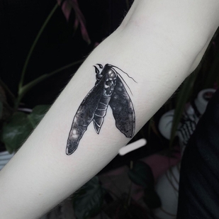 tattoo #47869 | Tattoo Artist Veronika Zlatogorskaya