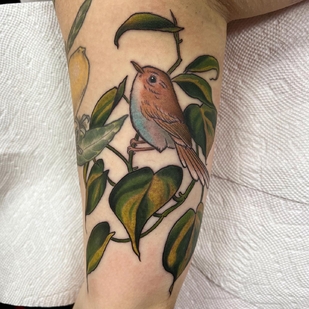 Female Color Neo-traditional tattoo on Forearm #63700 | Tattoo Artist Sara Bell