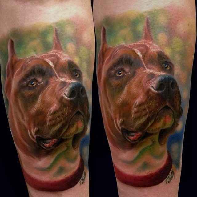 Tattoo artist Fahrettin Demir color and black&grey realistic tattoo | Istanbul, Turkey 