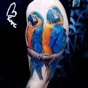 Aleksandr Minin | Красноярск, Russia | iNKPPL