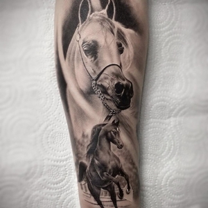 Dmitriy Stepanenko | Липецк, Russia | iNKPPL
