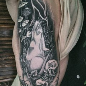 Anastasiya Kamkina | Челябинск, Russia | iNKPPL