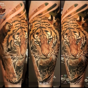 tattoo #7850 | Tattoo Artist Aleksandr Sigal Romashev