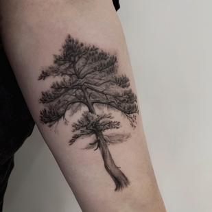 tattoo #52959 | Tattoo Artist Maxim Pishunov