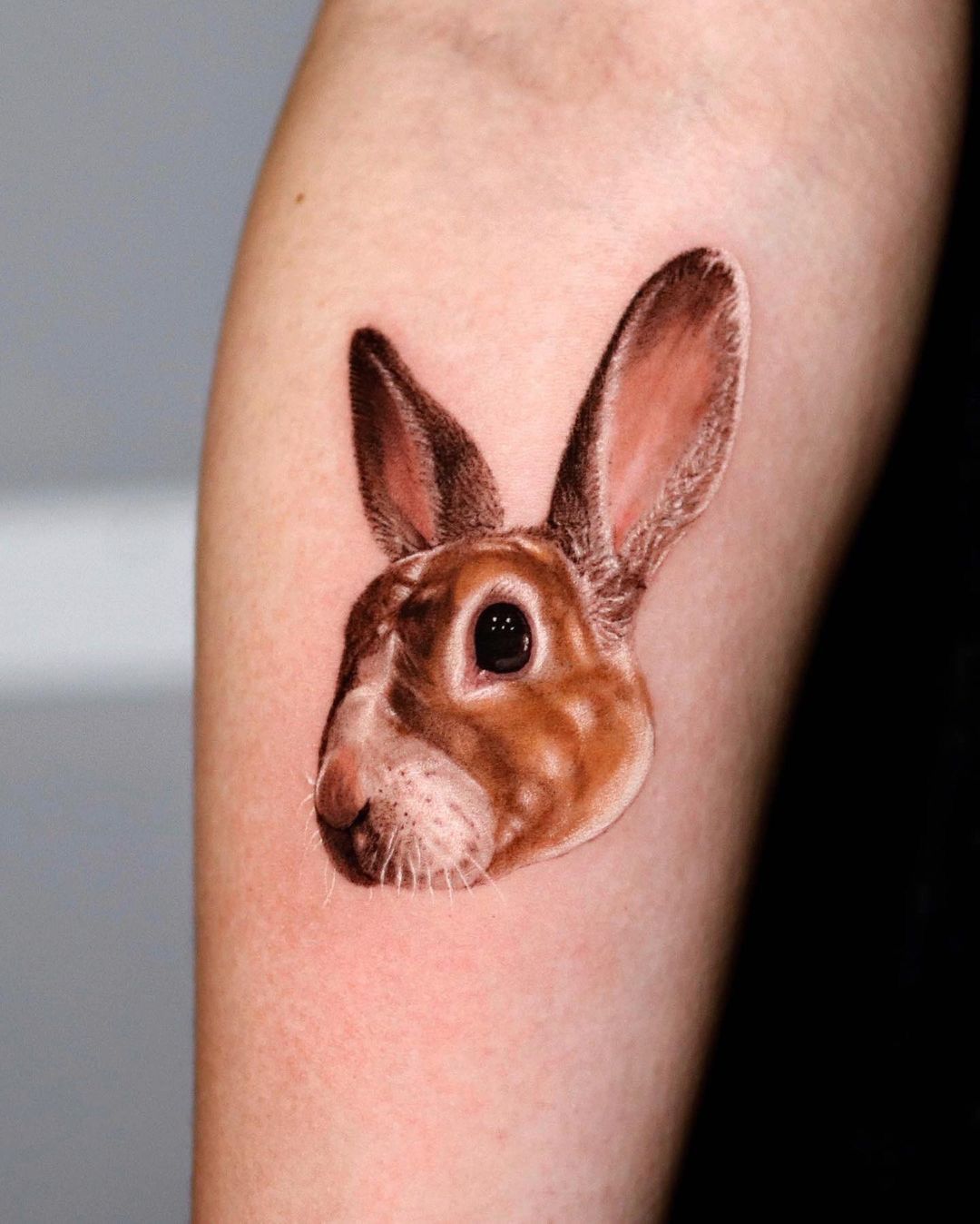 Rabbit microrealistic portrait tattoo