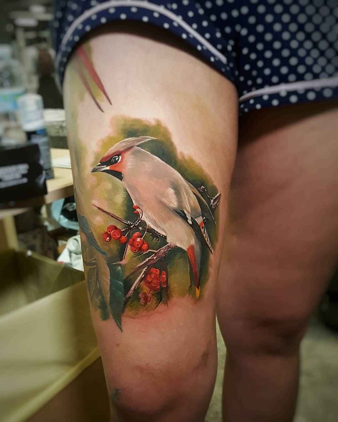 Cedar waxwing part II of my half sleeve by Becky D of Becky D Tattoos  Ottawa Canada  rtattoos