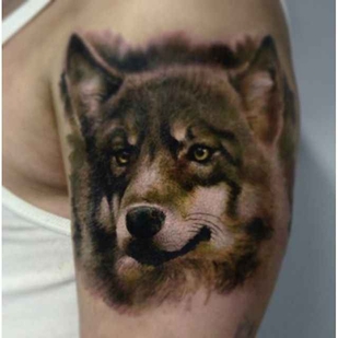 Color  tattoo on Shoulder #278 | Tattoo Artist Karol Rybakowski