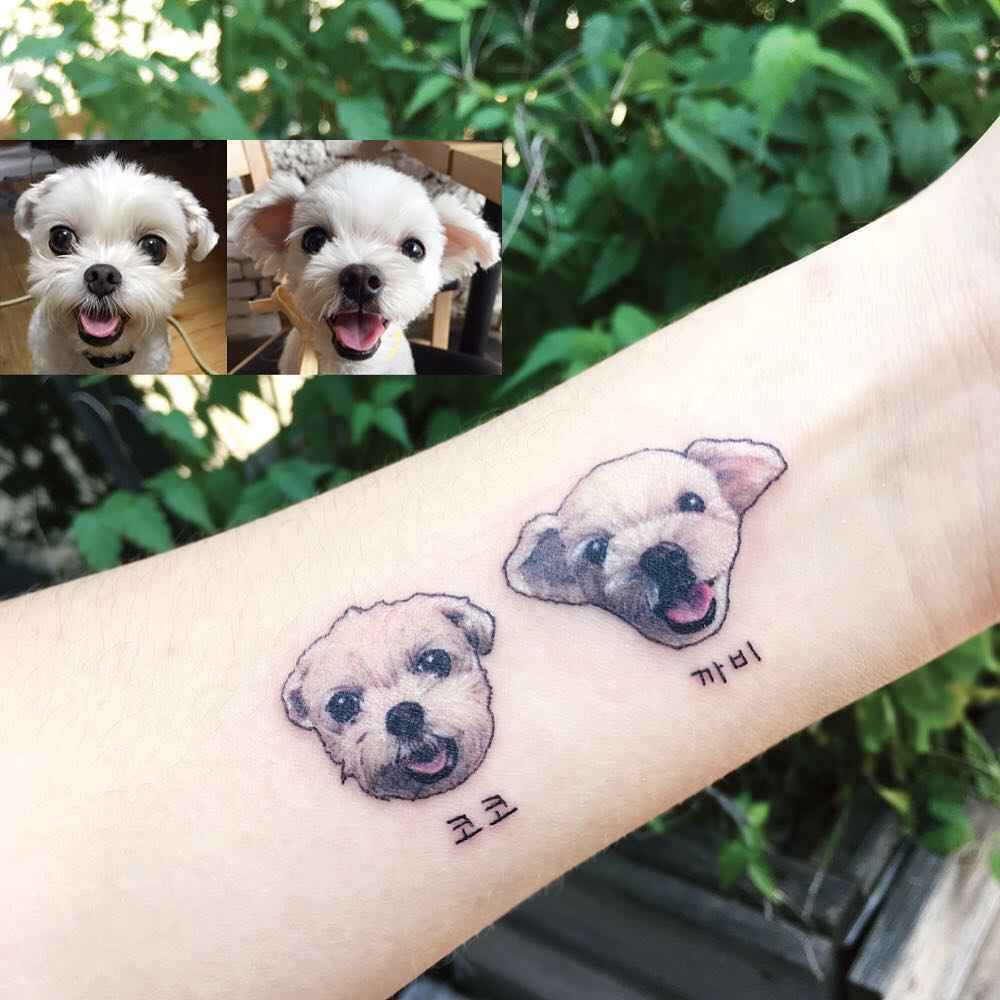 Tattoo artist Yammy, color and black and grey minimalistic pets tattoo | Seoul, Korea