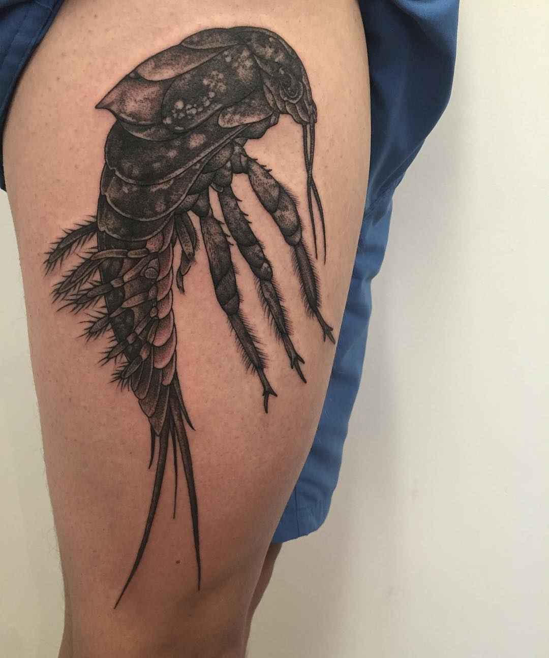 Tattoo artist Richard Warnock , tradition and neo tradition blackwork tattoo | Auckland, New Zealand