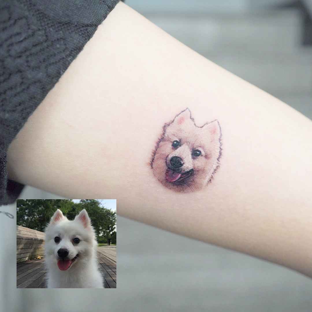 Tattoo artist Yammy, color and black and grey minimalistic pets tattoo | Seoul, Korea