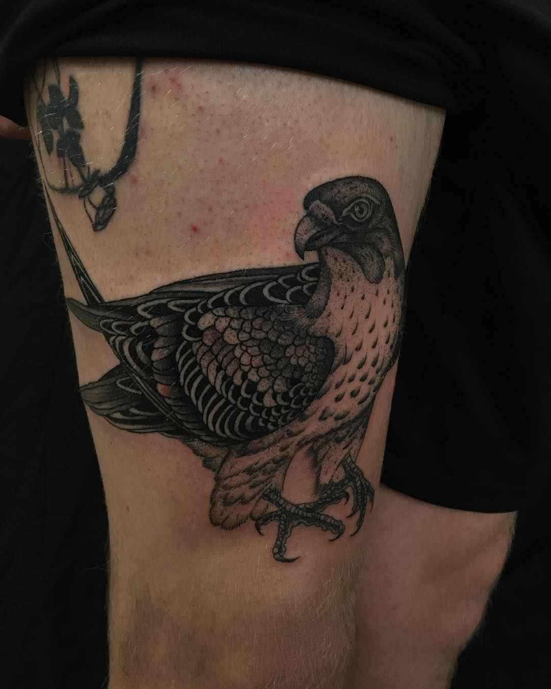 Tattoo artist Richard Warnock , tradition and neo tradition blackwork tattoo | Auckland, New Zealand