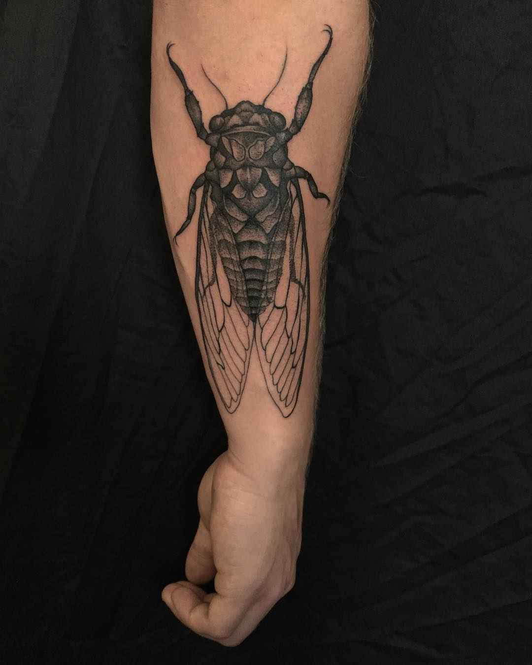 Tattoo artist Richard Warnock , tradition and neo tradition blackwork tattoo | Auckland, New Zealand