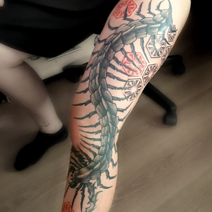 Female Color Graphic tattoo on Leg #67836 | Tattoo Artist Ioann Leo ( LEO-VAN )