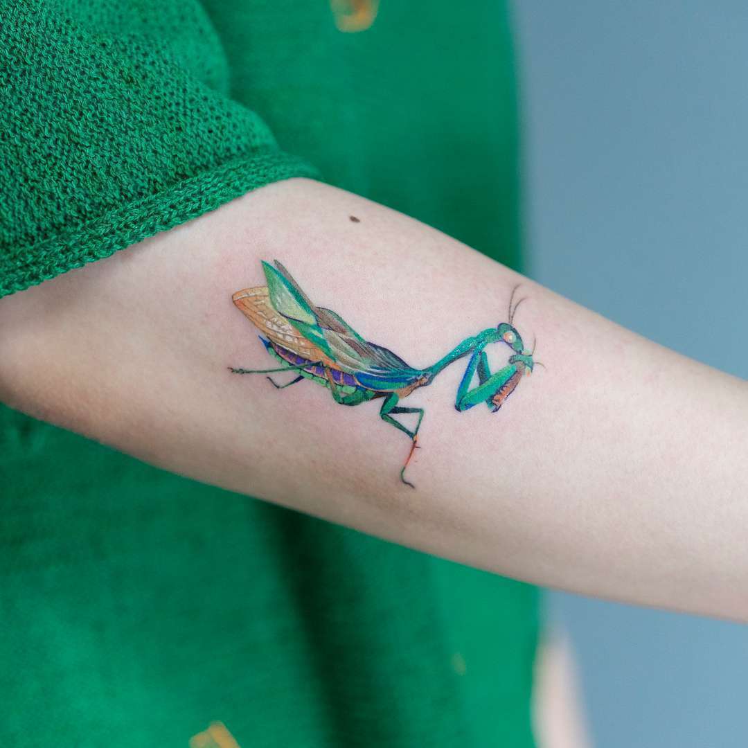Tatuagem artista Zihee , estilo de autor color minimalista realista tatuagem | Coreia