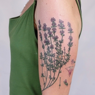 Female Color Botanical tattoo on Shoulder #55290 | Tattoo Artist Olga Nekrasova