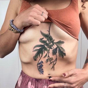 Female Color Botanical tattoo on Stomach #55286 | Tattoo Artist Olga Nekrasova