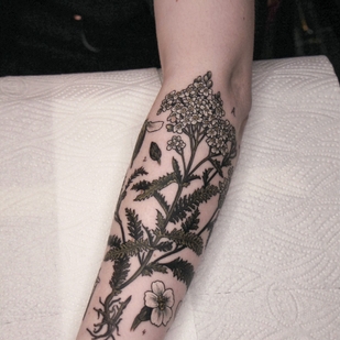 Female Color Botanical tattoo on Forearm #55291 | Tattoo Artist Olga Nekrasova