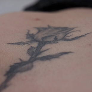 tattoo #55316 | Tattoo Artist Ksanf Victoria