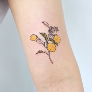 tattoo #55574 | Tattoo Artist Joo Joo