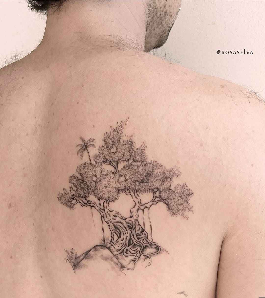 30 Olive Tree Tattoos For Men - YouTube