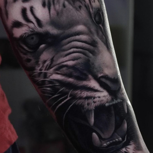 tattoo #57938 | Tattoo Artist Dan Starr
