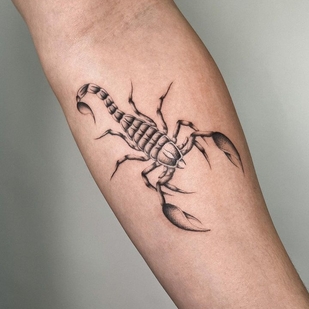 tattoo #73129 | Tattoo Artist Joshua Williams