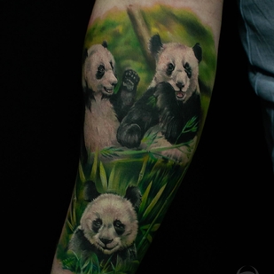 tattoo #32379 | Tattoo Artist Aleksandr Ebiss