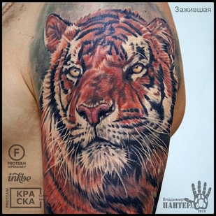 tattoo #32560 | Tattoo Artist Vladimir PANTERA Korolev
