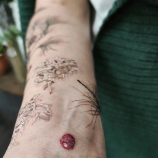 Female Color Botanical tattoo on Forearm #59045 | Tattoo Artist Kseniya Darmaeva