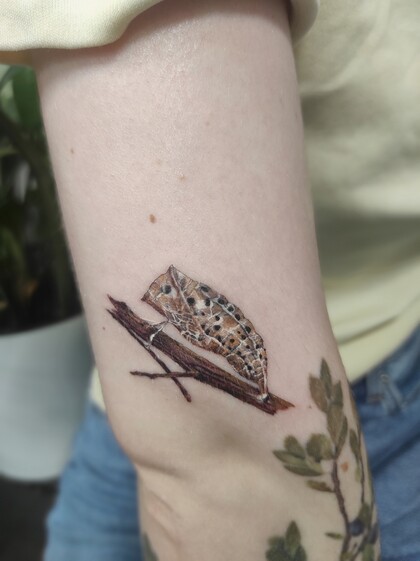 Tattoo Idea # Tattoo Artist Kseniya Darmaeva