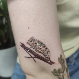 Female Color Botanical tattoo on Forearm #59042 | Tattoo Artist Kseniya Darmaeva