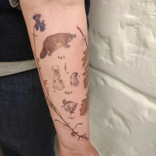 Female Color Botanical tattoo on Forearm #59048 | Tattoo Artist Kseniya Darmaeva