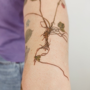 Female Color Botanical tattoo on Forearm #59040 | Tattoo Artist Kseniya Darmaeva