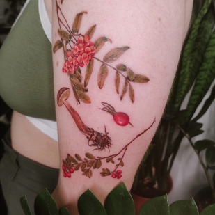 Female Color  tattoo on Forearm #59049 | Tattoo Artist Kseniya Darmaeva
