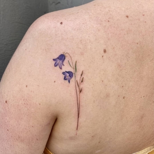 tattoo #43881 | Tattoo Artist Zuzanna Ławicka