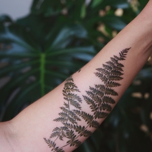 Female Color Botanical tattoo on Forearm #44760 | Tattoo Artist Aleksandra Vorobeva