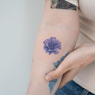 Female Color  tattoo on Forearm #46278 | Tattoo Artist Dasol Kim