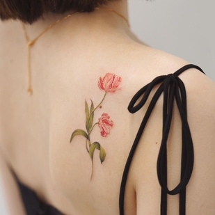 Female Color  tattoo on Back #46280 | Tattoo Artist Dasol Kim
